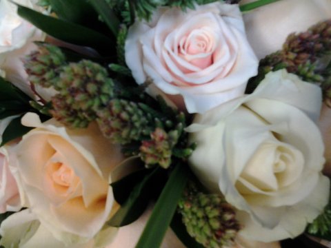 Wedding Flowers - Brambles Florist-Image 17532
