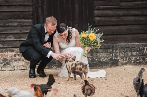 Wedding Ceremony Venues - South Farm -Image 42655