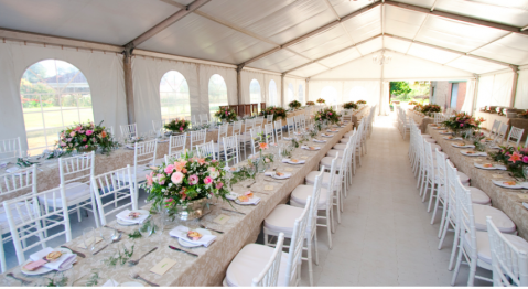 Wedding Catering and Venue Equipment Hire - Deluxe Hospitality-Image 27606
