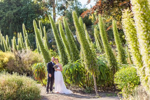 Wedding Accommodation - Ventnor Botanic Garden-Image 14040