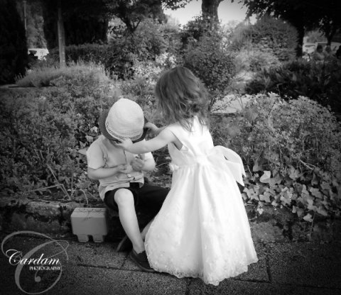 Wedding Photographers - Cardam Photography-Image 38648
