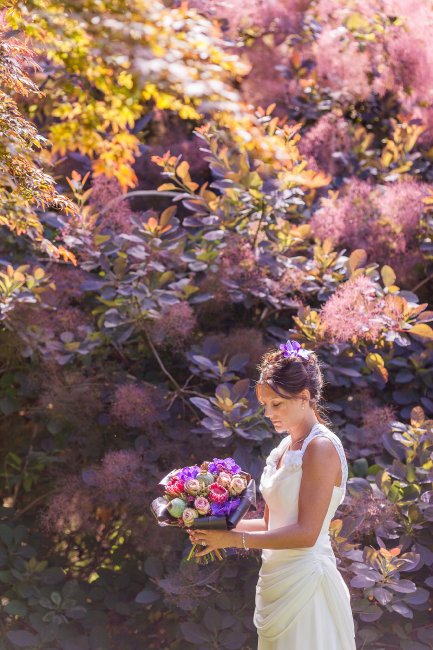 Wedding Accommodation - Ventnor Botanic Garden-Image 14038