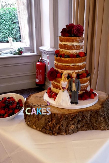 Wedding Cakes - Butterbug Cakes-Image 24577
