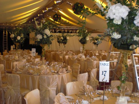 Wedding Venue Decoration - Chair Covers and More-Image 12621