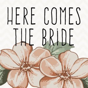 Here Comes The Bride Ltd