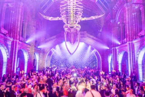 Photographer ©JohnNassari - The Events Mill