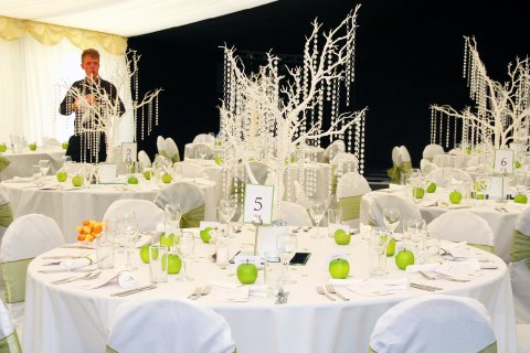 Wedding Reception Venues - Walcot Hall-Image 6382