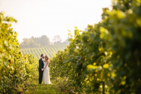 Outdoor Wedding Venues - Denbies Wine Estate -Image 10758