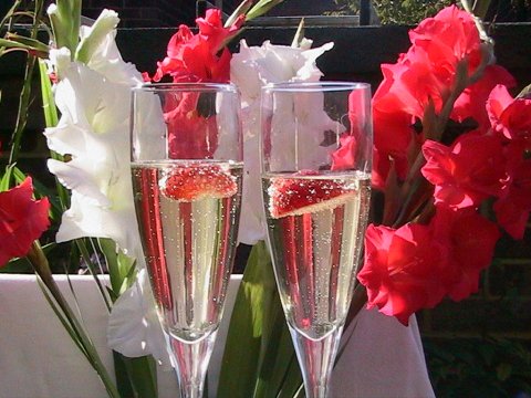 Wedding Champagne and Wine - OrganicBuffet-Image 498