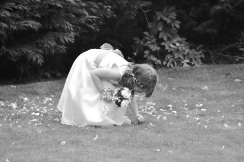 Wedding Photographers - D L Greaves Photography Ltd-Image 1715