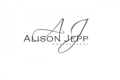 Wedding Photographers - Alison Jepp Photography-Image 1461
