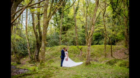 Up the Combe - Combe House Hotel