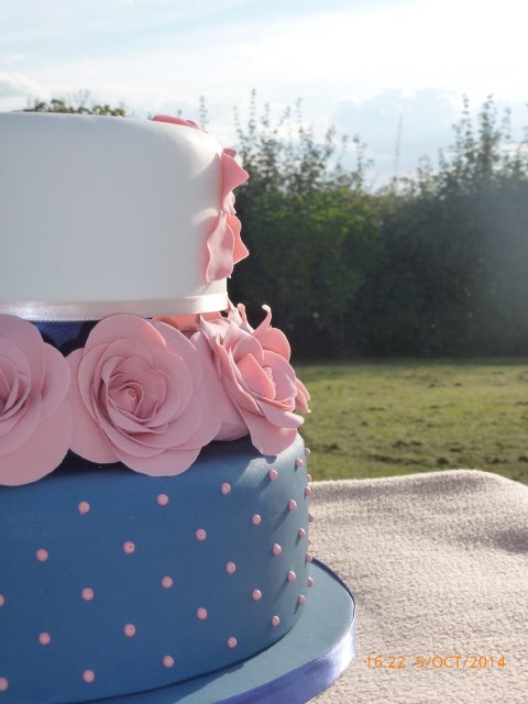 Navy spot & Dusky pink rose 2 tier - The Cake Story