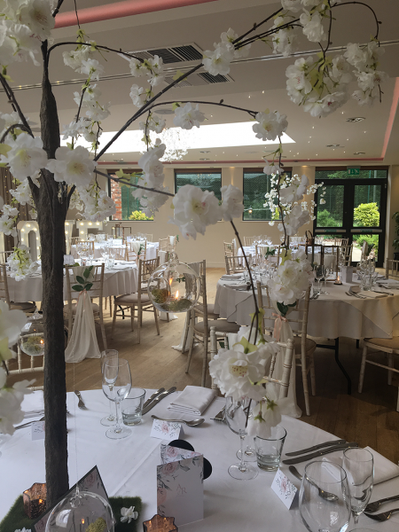 Wedding Ceremony and Reception Venues - Moddershall Oaks-Image 43036