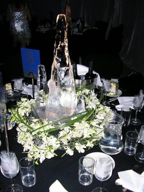 White orchids around table ice sculpture - Daisy Chain