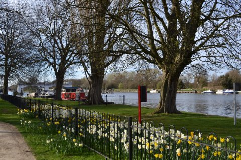 Our riverside pathway - The Lensbury