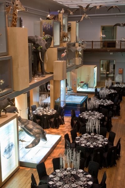 Living Planet Gallery - The Great North Museum: Hancock