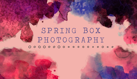 Capture The Day - Spring Box Photography-Image 10190