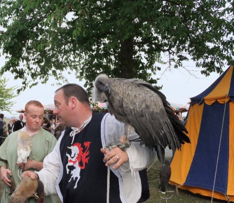 Specialist entertainers - Studio 50 Ltd