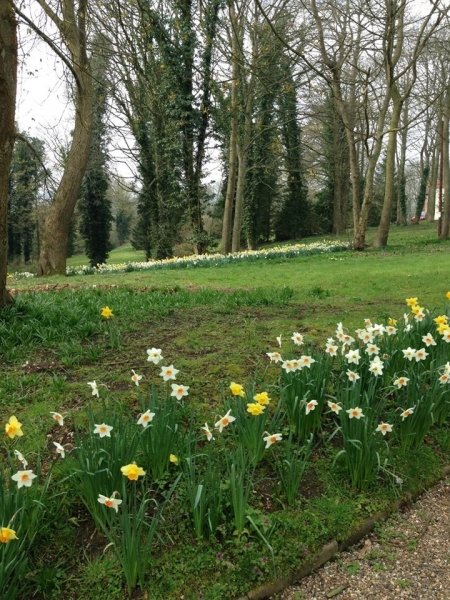 woodland setting for photos - Roundwood