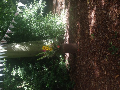 Wedding Ceremony and Reception Venues - Hockering House -Image 792