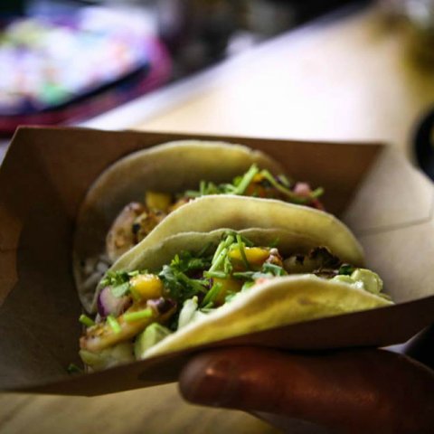 All tacos are gluten free - the little taquero