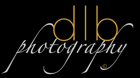 Wedding Photographers - DLB Photography-Image 2403