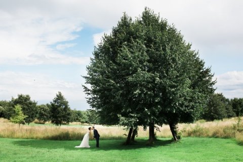 The Pavilion Grounds - The Pavilion