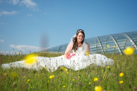 In the Meadow - The National Botanic Garden of Wales