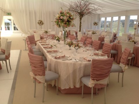 Wedding Catering and Venue Equipment Hire - Chair Covers and More-Image 12613