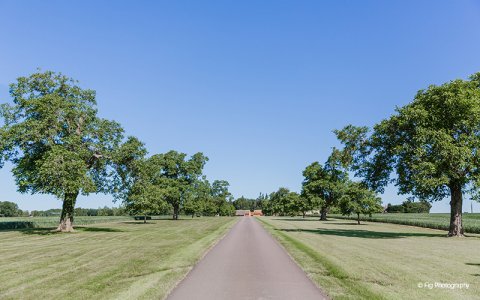 Bassmead Manor Barns - Bassmead Manor Barns