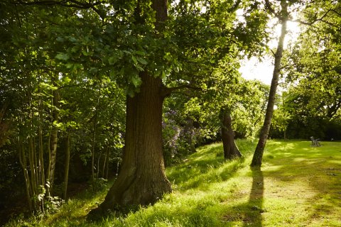 Wedding Ceremony and Reception Venues - Bromley Court Hotel-Image 9178