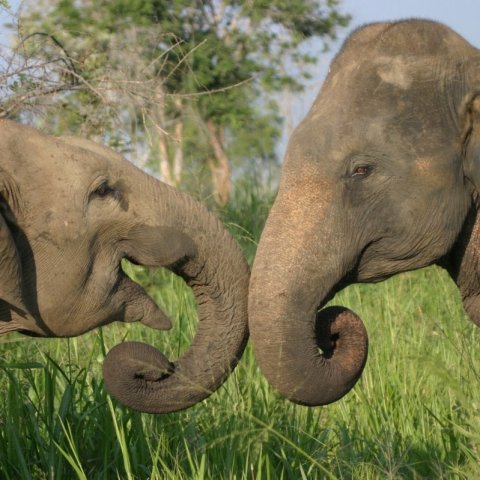 Adventure honeymoonrecommendations - 101 Honeymoons