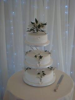 Wedding Cakes - Special Occasion Cakes by Tess-Image 35958