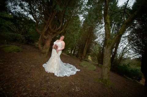 Wedding Photographers - Elite Photographics Ltd-Image 49073