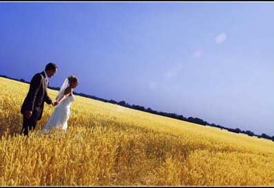 bride and groom in corn field - MrBird Wedding Photography