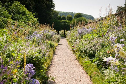 Garden - Pathway - Kelmarsh Hall & Gardens 