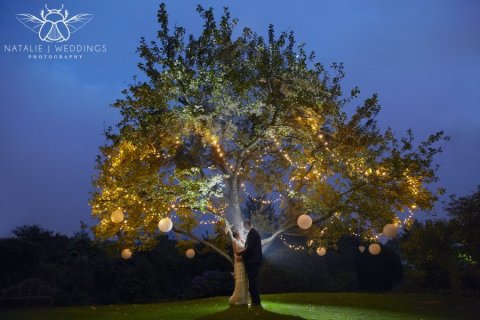 The Apple Tree - Crook Hall & Gardens