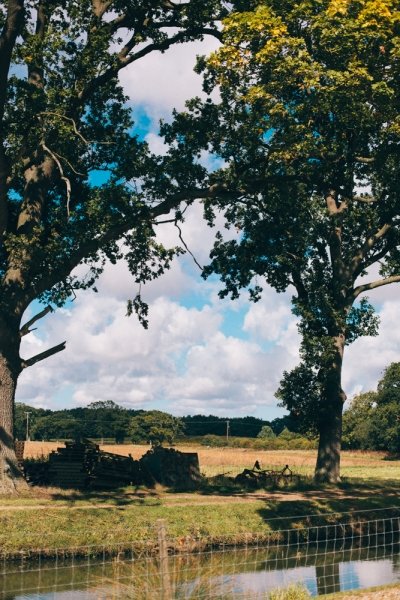 Wedding Reception Venues - Piggyback Barns-Image 40720