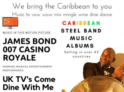 steelband, band, music, dance, reception, drinks, steelasophical - Steelasophical Caribbean Steel Band