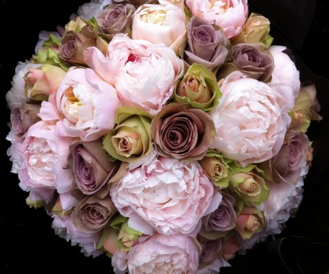 amnesia rose and peonies - Rose&Mary