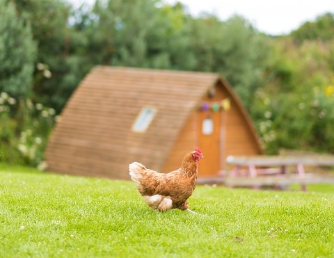 Wedding Reception Venues - The Loft-Image 36550