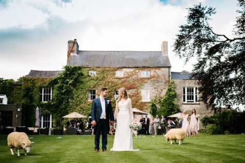 Wedding Reception Venues - Fairyhill by Oldwalls -Image 43968