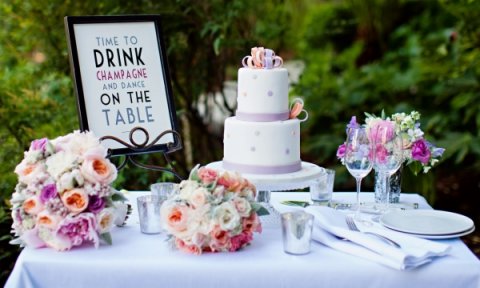 Wedding Planning and Officiating - Champagne & Sparkles Limited-Image 40471