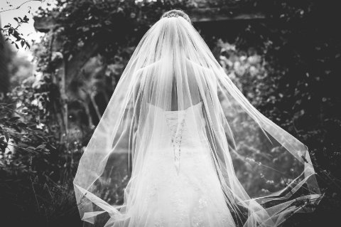 Wedding Photographers - ALphotography.net-Image 28466