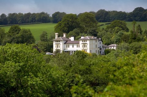 The Falcondale Hotel - The Falcondale Hotel