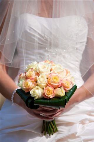 compact rose bouquet - manor nursery garden centre