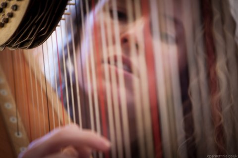 Recording with 4 Girls 4 Harps - Harriet Adie = Harpist