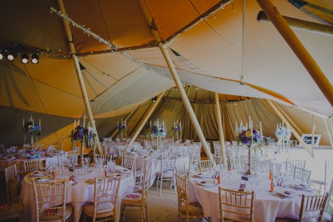 By Alan Law - The Rosevine