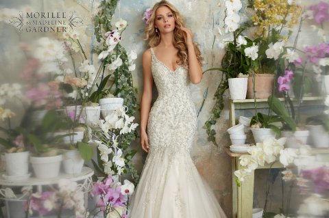 Wedding Dresses and Bridal Gowns - Cotswold Frock Shop-Image 5916